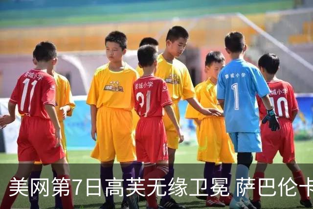 美网第7日高芙无缘卫冕 萨巴伦卡连续4年进八强